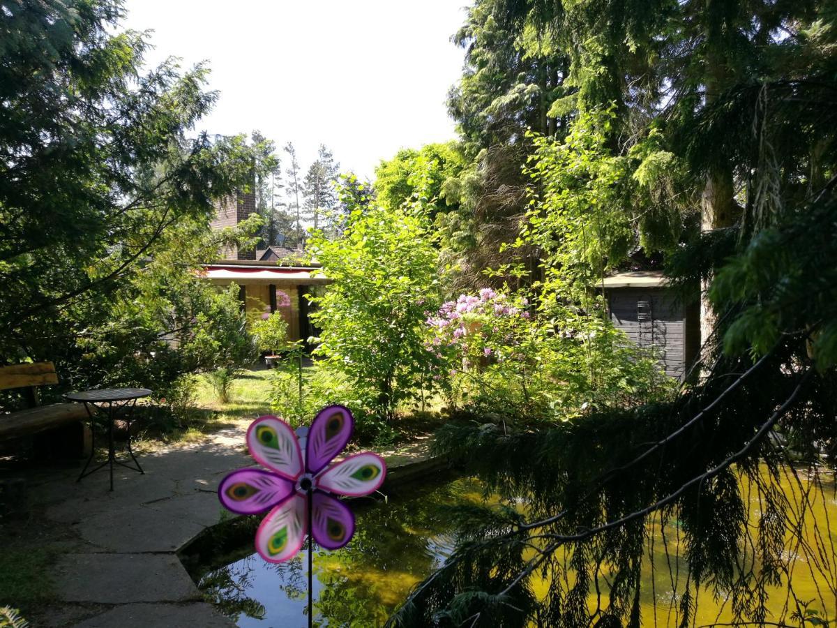Taras Ferienwohnung Langlingen Exteriör bild